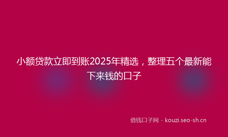 小额贷款立即到账2025年精选，整理五个最新能下来钱的口子