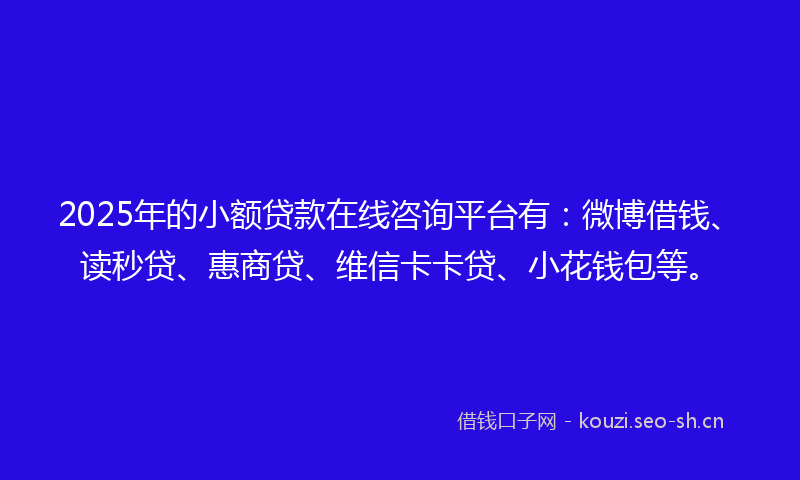 2025年的小额贷款在线咨询平台有：微博借钱、读秒贷、惠商贷、维信卡卡贷、小花钱包等。