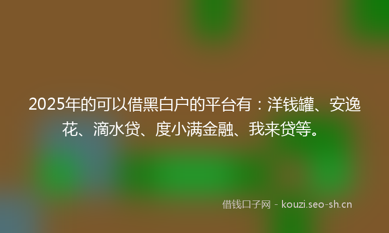 2025年的可以借黑白户的平台有：洋钱罐、安逸花、滴水贷、度小满金融、我来贷等。