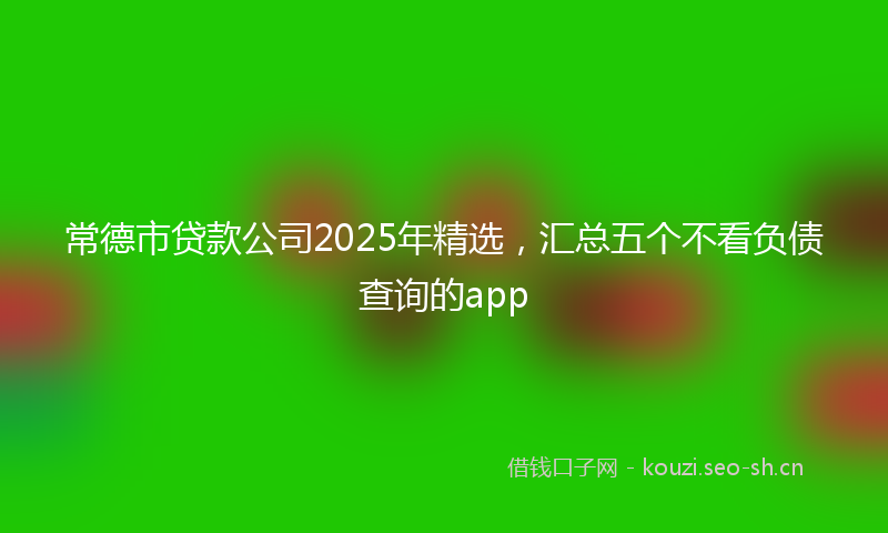 常德市贷款公司2025年精选,汇总五个不看负债查询的app