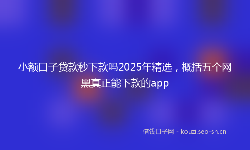 小额口子贷款秒下款吗2025年精选,概括五个网黑真正能下款的app