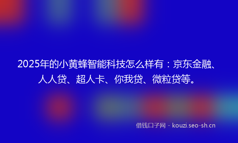 2025年的小黄蜂智能科技怎么样有：京东金融、人人贷、超人卡、你我贷、微粒贷等。