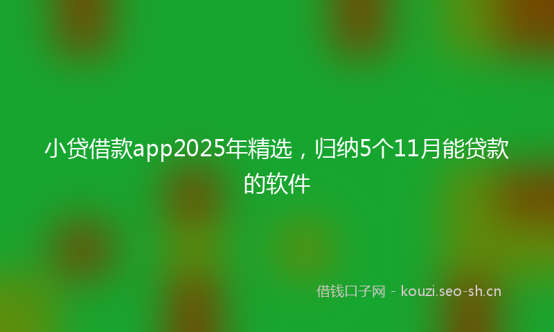 小贷借款app2025年精选，归纳5个11月能贷款的软件