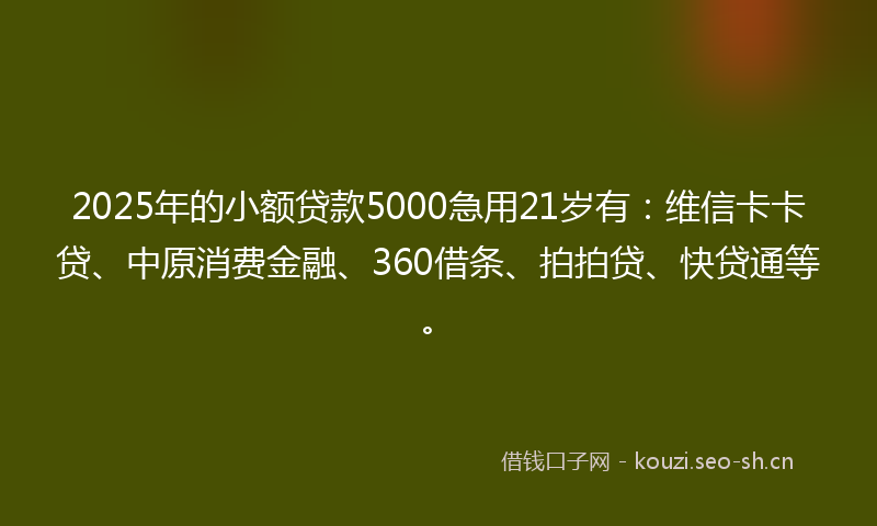 2025年的小额贷款5000急用21岁有：维信卡卡贷、中原消费金融、360借条、拍拍贷、快贷通等。