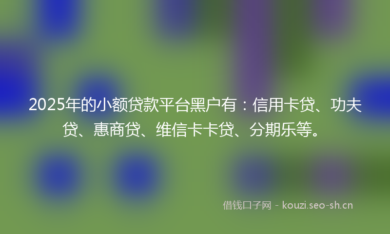 2025年的小额贷款平台黑户有：信用卡贷、功夫贷、惠商贷、维信卡卡贷、分期乐等。