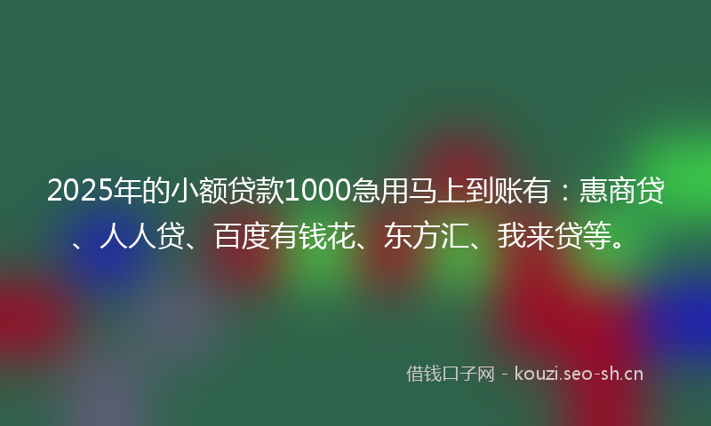 2025年的小额贷款1000急用马上到账有:惠商贷、人人贷、百度有钱花、东方汇、我来贷等。