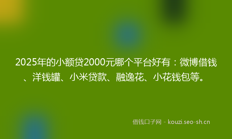 2025年的小额贷2000元哪个平台好有：微博借钱、洋钱罐、小米贷款、融逸花、小花钱包等。