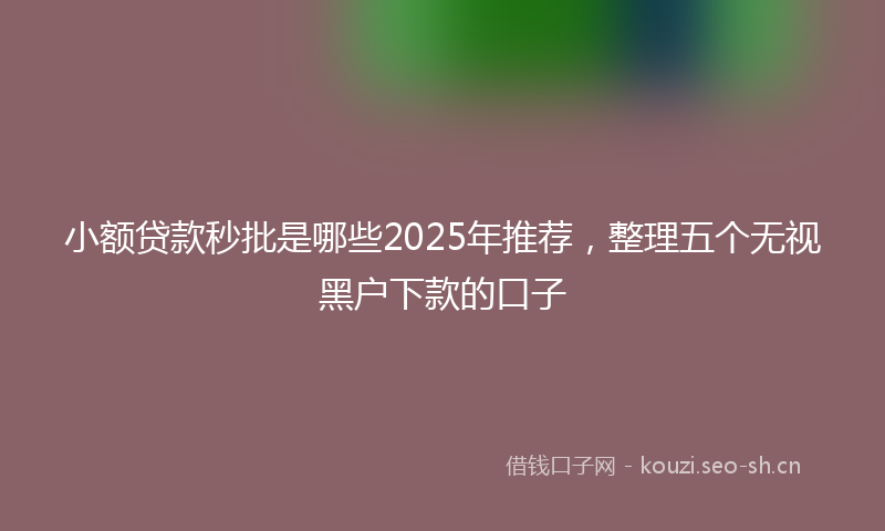 小额贷款秒批是哪些2025年推荐，整理五个无视黑户下款的口子