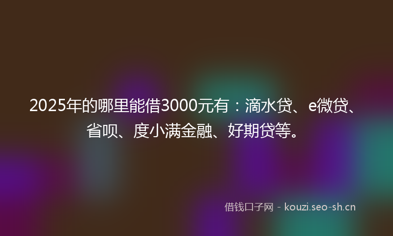 2025年的哪里能借3000元有：滴水贷、e微贷、省呗、度小满金融、好期贷等。