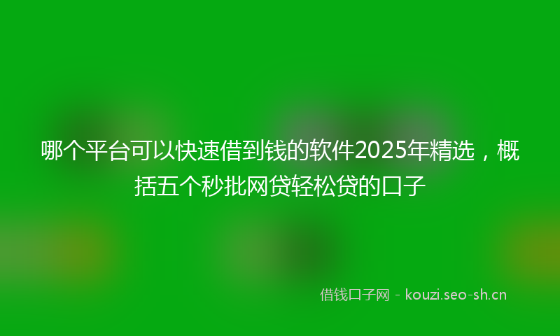 哪个平台可以快速借到钱的软件2025年精选，概括五个秒批网贷轻松贷的口子