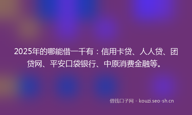 2025年的哪能借一千有：信用卡贷、人人贷、团贷网、平安口袋银行、中原消费金融等。