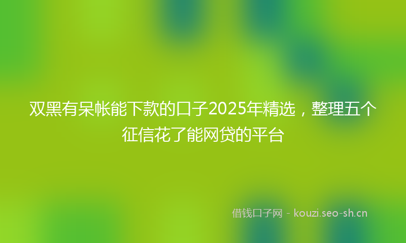 双黑有呆帐能下款的口子2025年精选，整理五个征信花了能网贷的平台