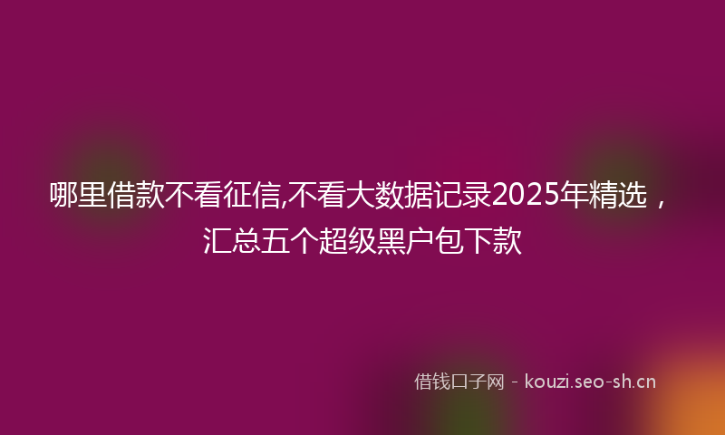 哪里借款不看征信,不看大数据记录2025年精选，汇总五个超级黑户包下款