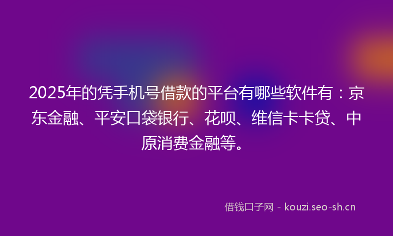 2025年的凭手机号借款的平台有哪些软件有：京东金融、平安口袋银行、花呗、维信卡卡贷、中原消费金融等。