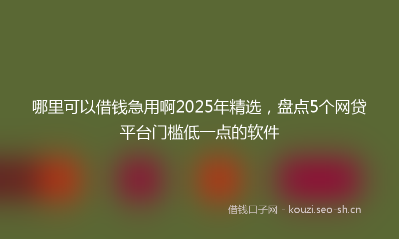 哪里可以借钱急用啊2025年精选，盘点5个网贷平台门槛低一点的软件