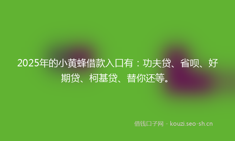 2025年的小黄蜂借款入口有：功夫贷、省呗、好期贷、柯基贷、替你还等。