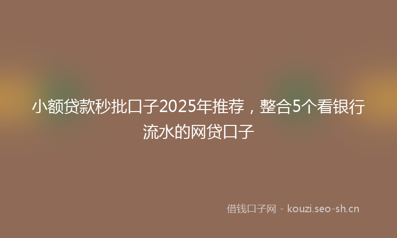 小额贷款秒批口子2025年推荐，整合5个看银行流水的网贷口子