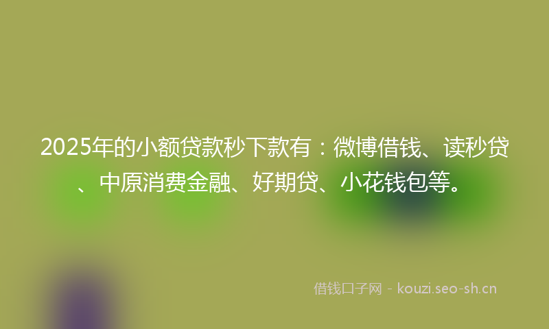 2025年的小额贷款秒下款有：微博借钱、读秒贷、中原消费金融、好期贷、小花钱包等。