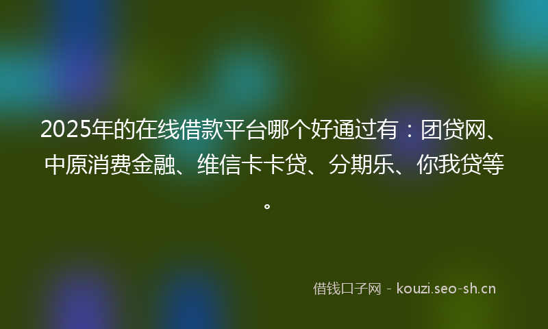 2025年的在线借款平台哪个好通过有：团贷网、中原消费金融、维信卡卡贷、分期乐、你我贷等。