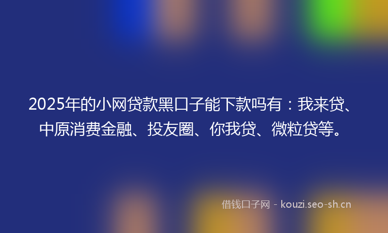 2025年的小网贷款黑口子能下款吗有：我来贷、中原消费金融、投友圈、你我贷、微粒贷等。