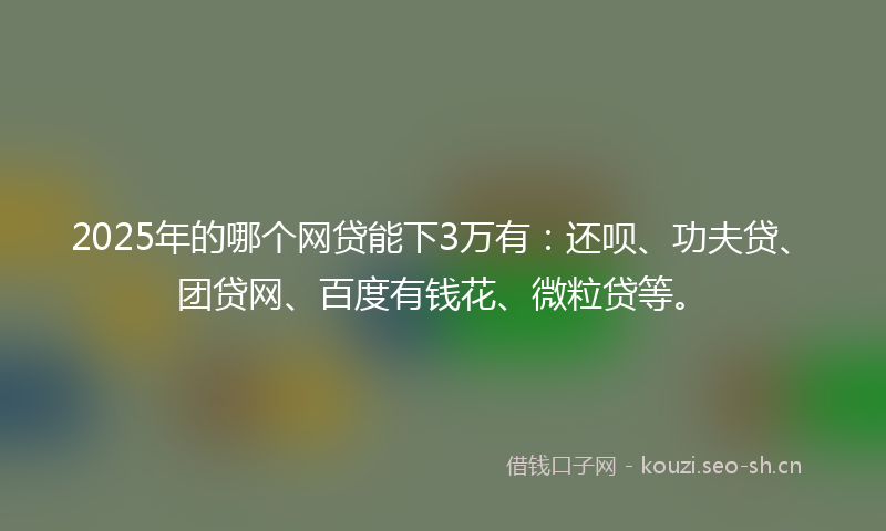 2025年的哪个网贷能下3万有：还呗、功夫贷、团贷网、百度有钱花、微粒贷等。