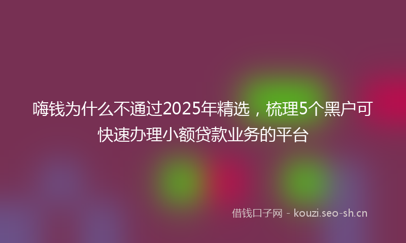 嗨钱为什么不通过2025年精选，梳理5个黑户可快速办理小额贷款业务的平台