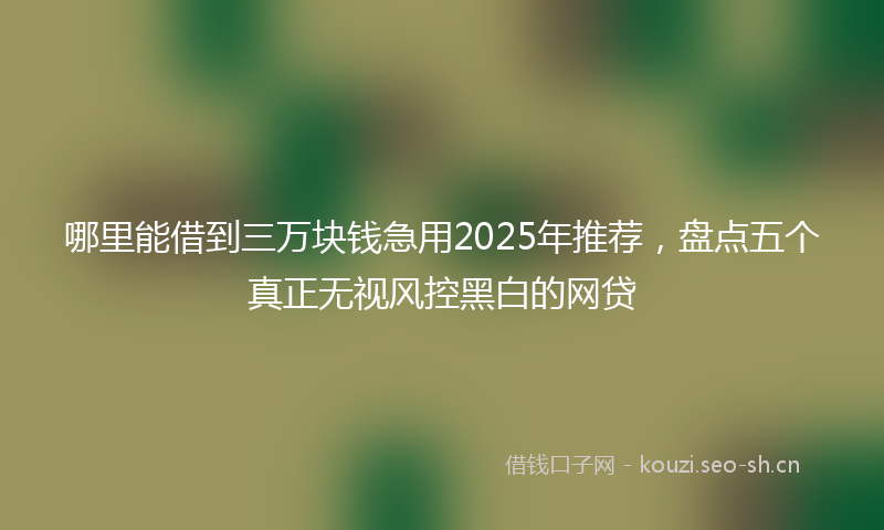哪里能借到三万块钱急用2025年推荐，盘点五个真正无视风控黑白的网贷