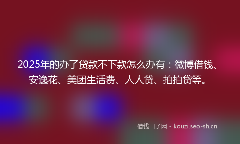 2025年的办了贷款不下款怎么办有：微博借钱、安逸花、美团生活费、人人贷、拍拍贷等。
