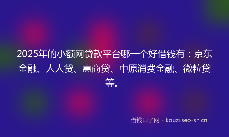 2025年的小额网贷款平台哪一个好借钱有：京东金融、人人贷、惠商贷、中原消费金融、微粒贷等。