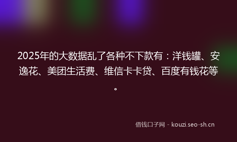 2025年的大数据乱了各种不下款有：洋钱罐、安逸花、美团生活费、维信卡卡贷、百度有钱花等。