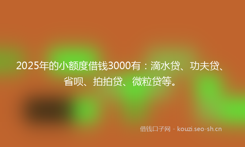 2025年的小额度借钱3000有：滴水贷、功夫贷、省呗、拍拍贷、微粒贷等。