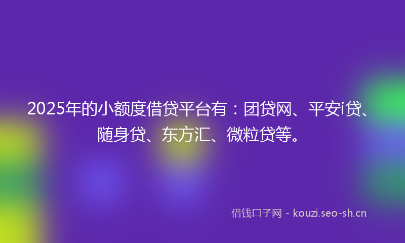 2025年的小额度借贷平台有：团贷网、平安i贷、随身贷、东方汇、微粒贷等。