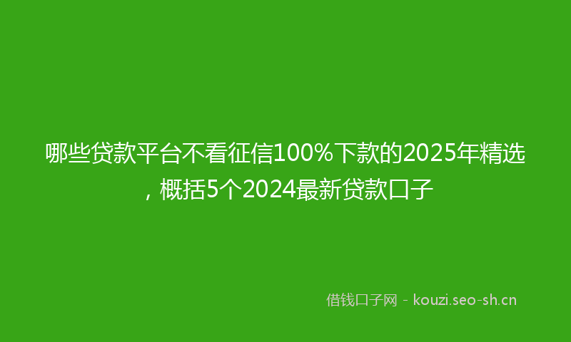 哪些贷款平台不看征信100%下款的2025年精选，概括5个2024最新贷款口子