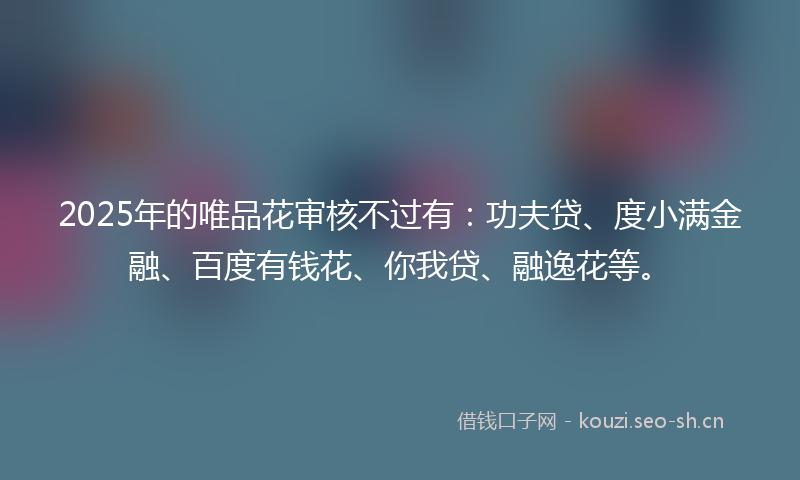 2025年的唯品花审核不过有：功夫贷、度小满金融、百度有钱花、你我贷、融逸花等。
