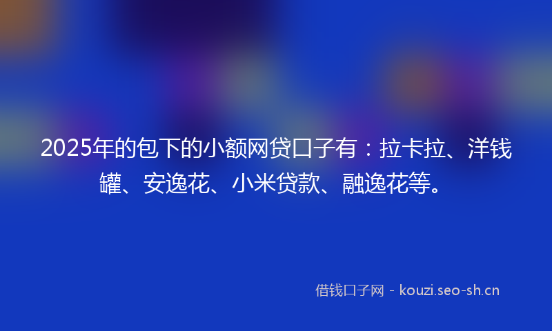 2025年的包下的小额网贷口子有：拉卡拉、洋钱罐、安逸花、小米贷款、融逸花等。
