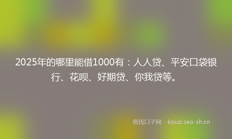 2025年的哪里能借1000有：人人贷、平安口袋银行、花呗、好期贷、你我贷等。