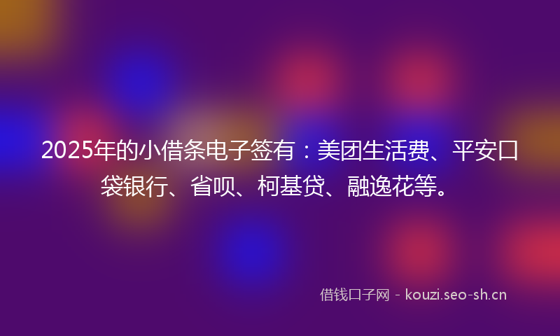 2025年的小借条电子签有：美团生活费、平安口袋银行、省呗、柯基贷、融逸花等。