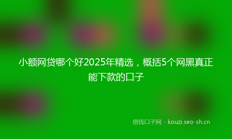 小额网贷哪个好2025年精选，概括5个网黑真正能下款的口子