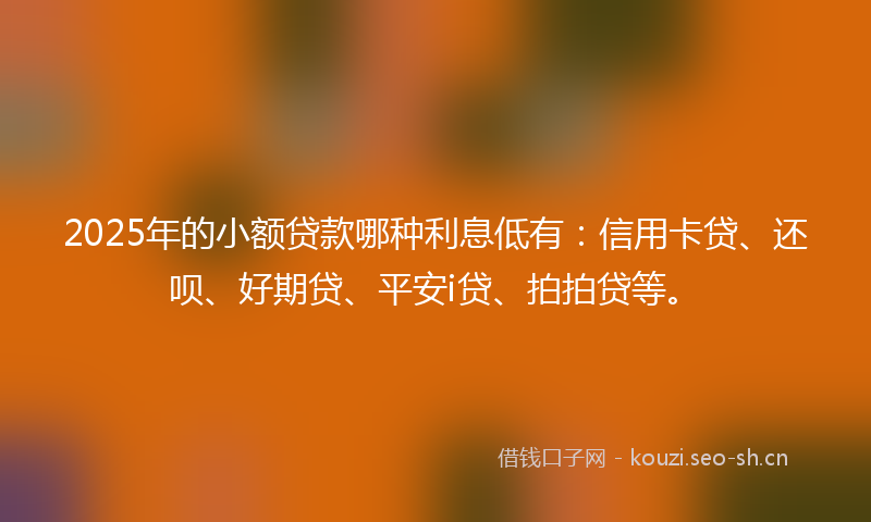 2025年的小额贷款哪种利息低有：信用卡贷、还呗、好期贷、平安i贷、拍拍贷等。