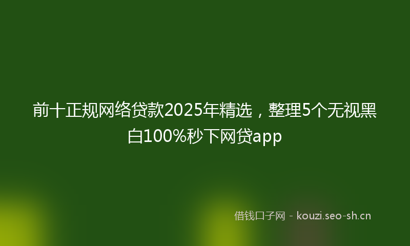 前十正规网络贷款2025年精选，整理5个无视黑白100%秒下网贷app