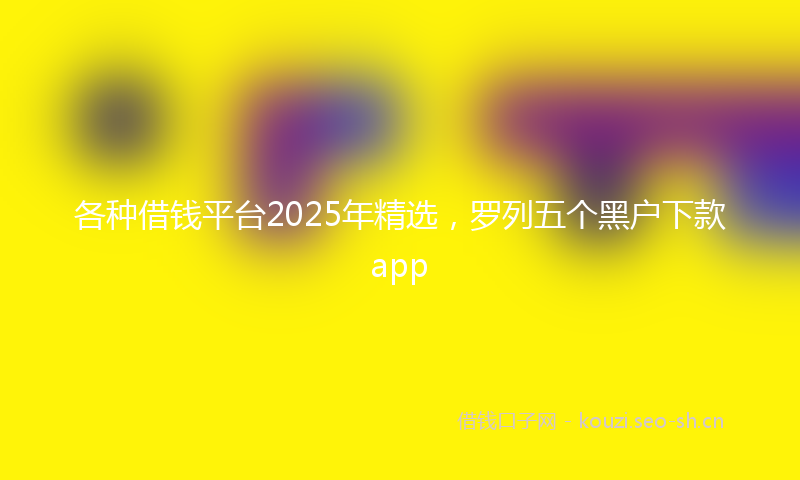 各种借钱平台2025年精选，罗列五个黑户下款app