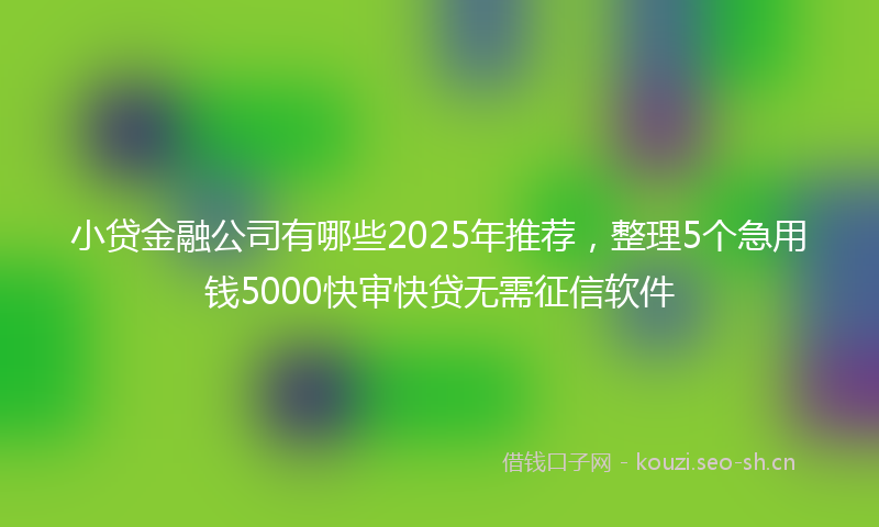 小贷金融公司有哪些2025年推荐，整理5个急用钱5000快审快贷无需征信软件