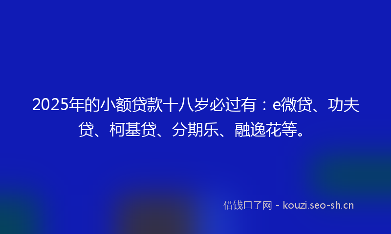 2025年的小额贷款十八岁必过有：e微贷、功夫贷、柯基贷、分期乐、融逸花等。