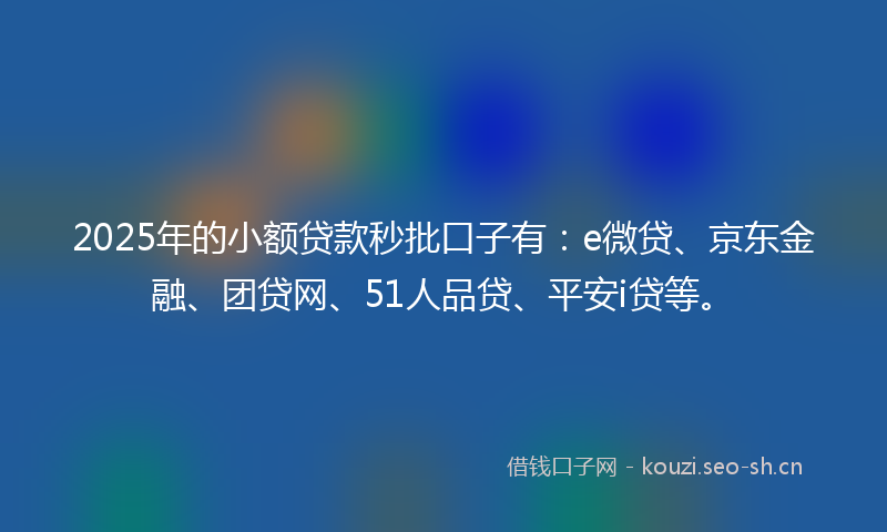2025年的小额贷款秒批口子有：e微贷、京东金融、团贷网、51人品贷、平安i贷等。