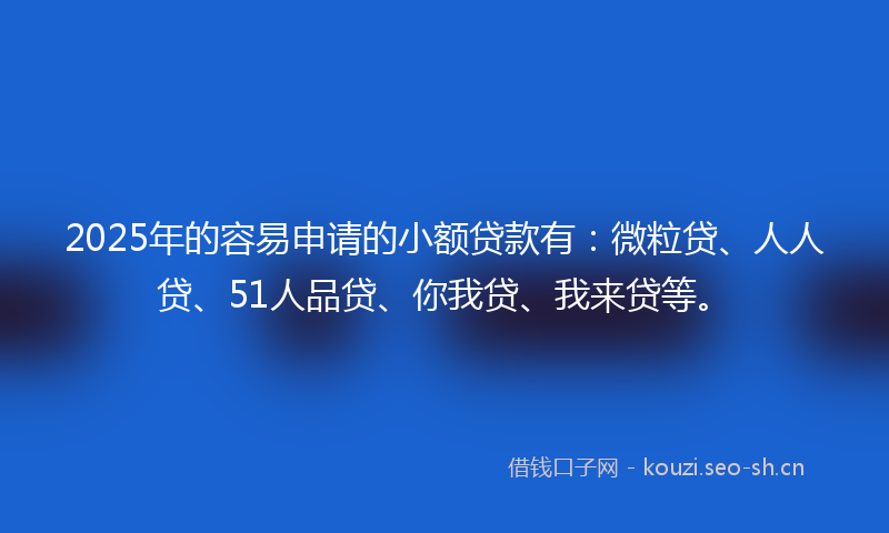 2025年的容易申请的小额贷款有：微粒贷、人人贷、51人品贷、你我贷、我来贷等。