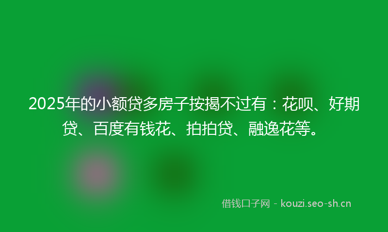 2025年的小额贷多房子按揭不过有：花呗、好期贷、百度有钱花、拍拍贷、融逸花等。