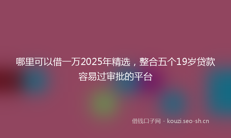 哪里可以借一万2025年精选，整合五个19岁贷款容易过审批的平台