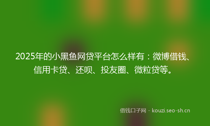 2025年的小黑鱼网贷平台怎么样有：微博借钱、信用卡贷、还呗、投友圈、微粒贷等。