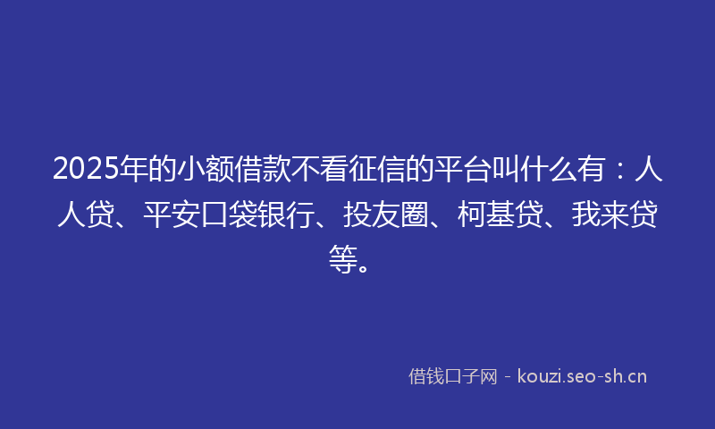 2025年的小额借款不看征信的平台叫什么有：人人贷、平安口袋银行、投友圈、柯基贷、我来贷等。