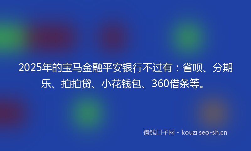 2025年的宝马金融平安银行不过有：省呗、分期乐、拍拍贷、小花钱包、360借条等。